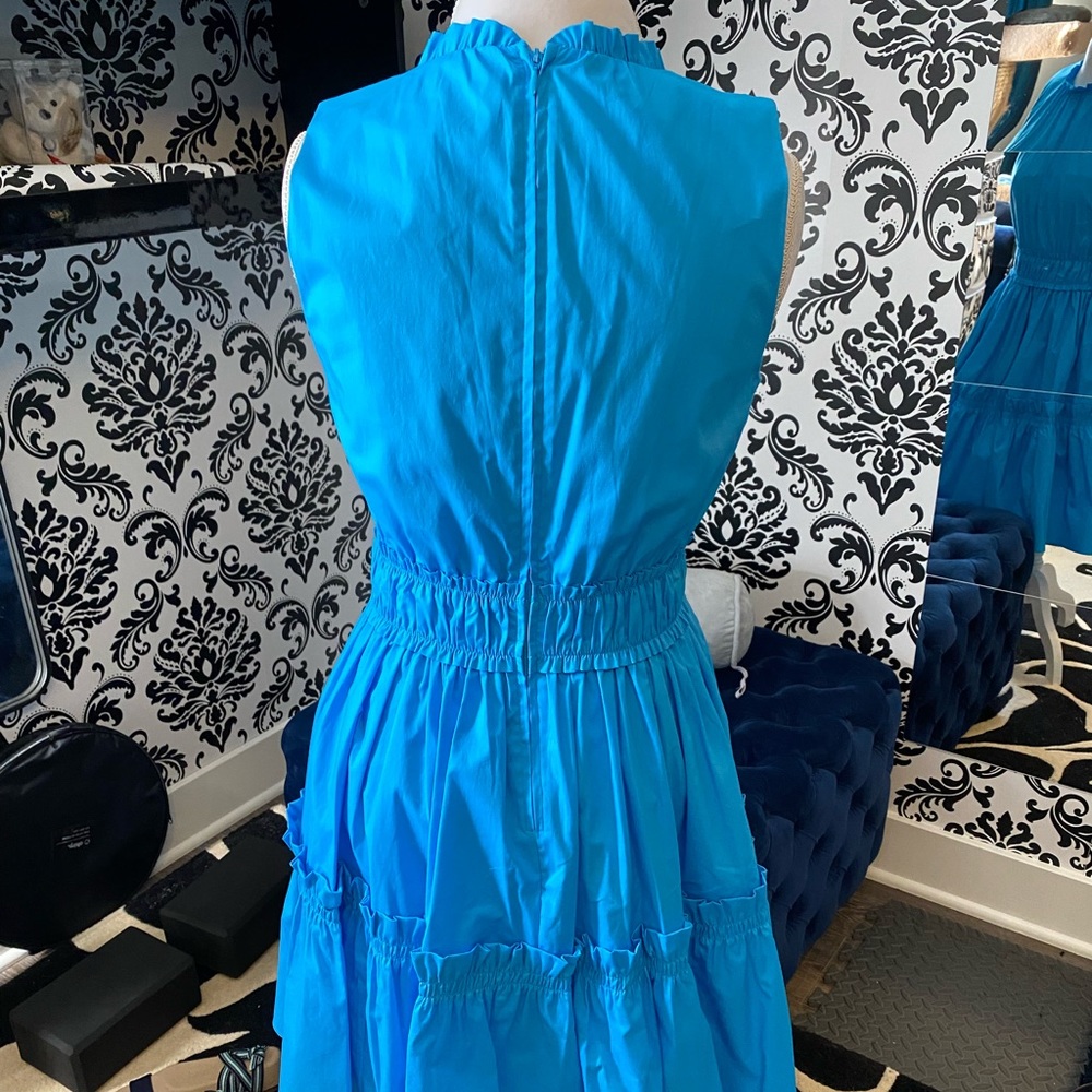 Lilly Pulitzer Ruffle Dress - Picture 4 of 10